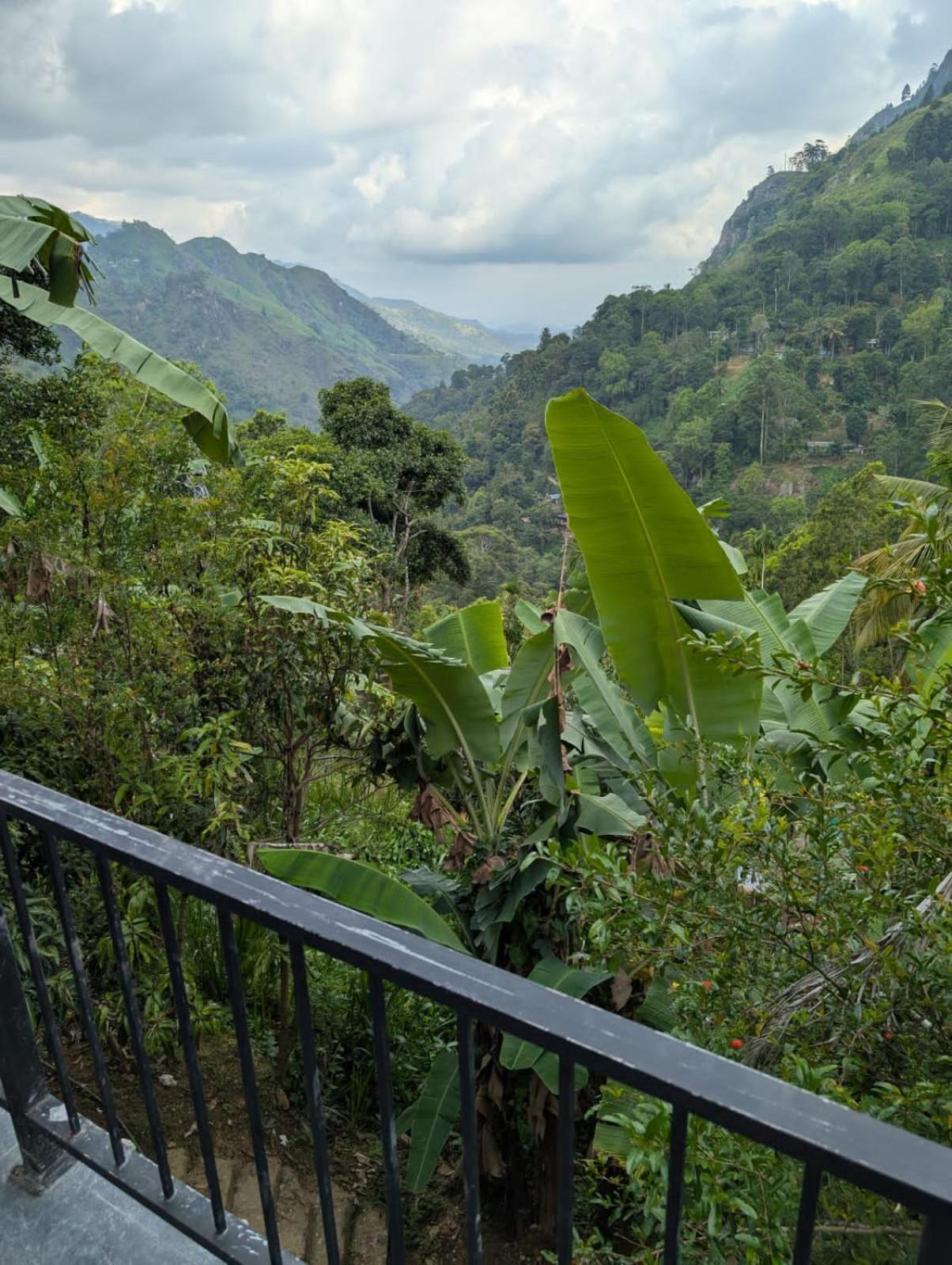 Chamodya Home Stay Элла Экстерьер фото