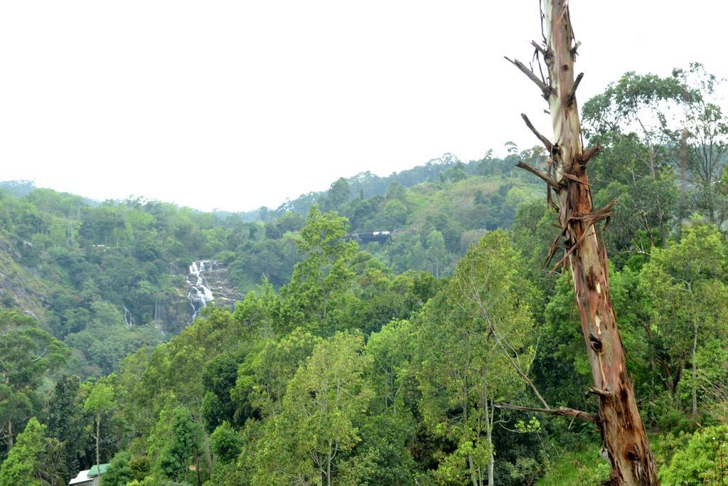 Chamodya Home Stay Элла Экстерьер фото